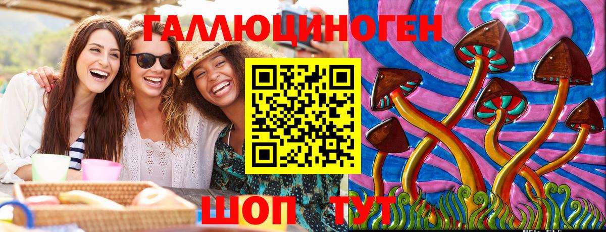 Галлюциногенные грибы прущие грибы Славянск-на-Кубани
